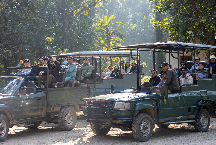 jungle safari