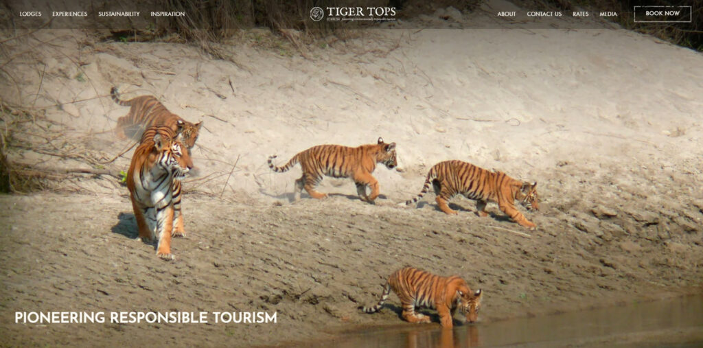 Tiger Tops